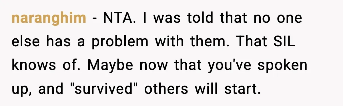 naranghim − NTA. I was told that no one else has a problem with them. That SIL knows of. Maybe now that you've spoken up, and "survived" others will start.
