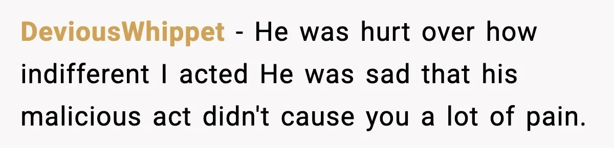 DeviousWhippet − He was hurt over how indifferent I acted He was sad that his malicious act didn't cause you a lot of pain.