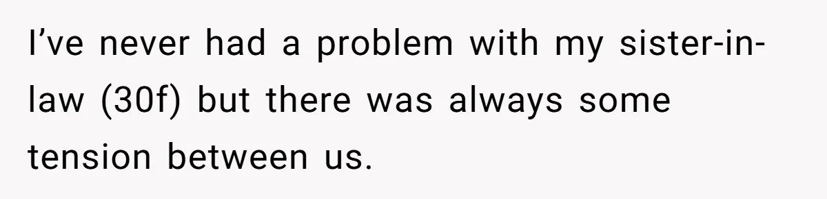 Woman Babysits SIL’s Kids For Free, Then Sees Texts Calling Her “Annoying” And Refuses To Help Again I’ve never had a problem with my sister-in-law (30f) but there was always some tension between us.