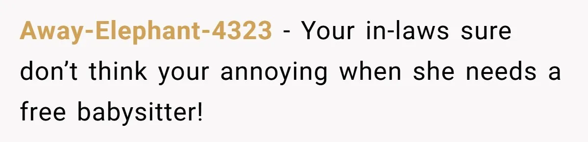 Woman Babysits SIL’s Kids For Free, Then Sees Texts Calling Her “Annoying” And Refuses To Help Again Away-Elephant-4323 − Your in-laws sure don’t think your annoying when she needs a free babysitter!