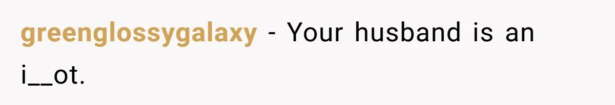 Woman Babysits SIL’s Kids For Free, Then Sees Texts Calling Her “Annoying” And Refuses To Help Again greenglossygalaxy − Your husband is an i__ot.