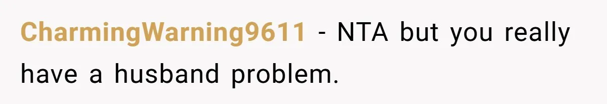 Woman Babysits SIL’s Kids For Free, Then Sees Texts Calling Her “Annoying” And Refuses To Help Again CharmingWarning9611 − NTA but you really have a husband problem.