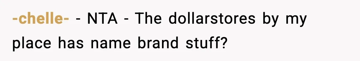 Friend Calls Dollar Tree “Gross,” She Fires Back About Food Stamps -chelle- − NTA - The dollarstores by my place has name brand stuff?
