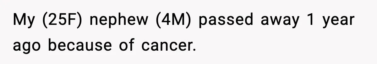 My (25F) nephew (4M) passed away 1 year ago because of cancer.