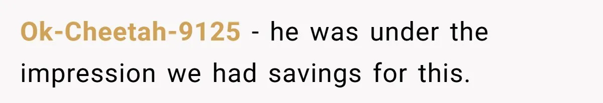 Ok-Cheetah-9125 − he was under the impression we had savings for this.