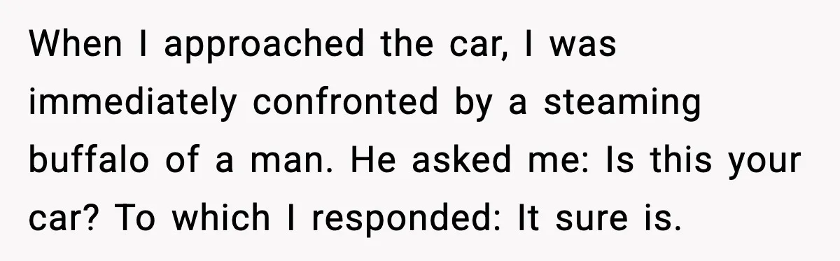When I approached the car, I was immediately confronted by a steaming buffalo of a man. He asked me: Is this your car? To which I responded: It sure is.