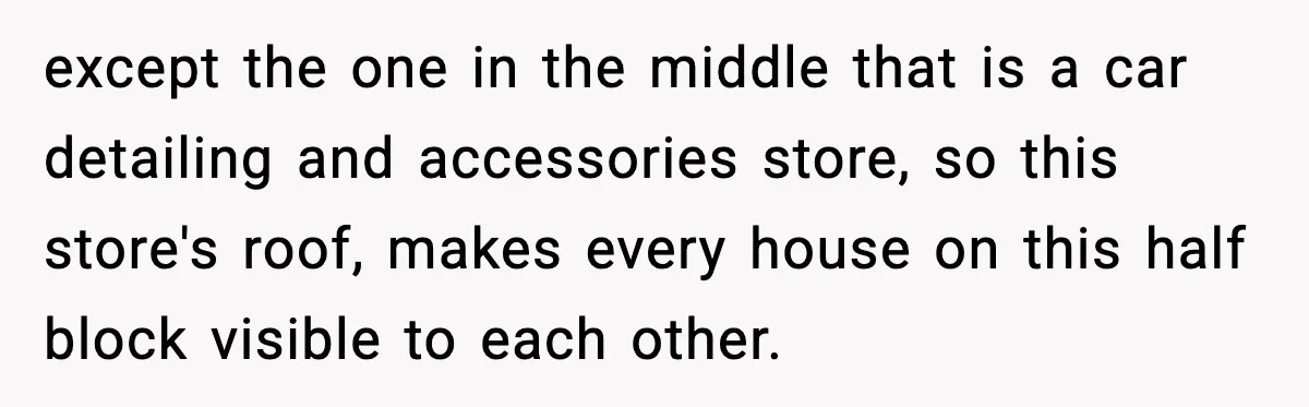 except the one in the middle that is a car detailing and accessories store, so this store's roof, makes every house on this half block visible to each other.