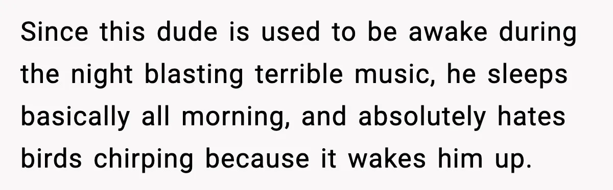 Since this dude is used to be awake during the night blasting terrible music, he sleeps basically all morning, and absolutely hates birds chirping because it wakes him up.