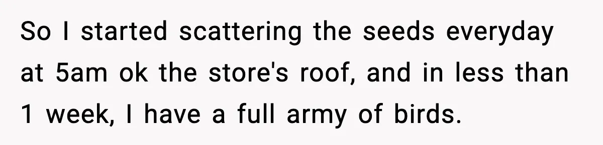 So I started scattering the seeds everyday at 5am ok the store's roof, and in less than 1 week, I have a full army of birds.
