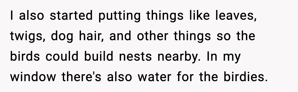I also started putting things like leaves, twigs, dog hair, and other things so the birds could build nests nearby. In my window there's also water for the birdies.