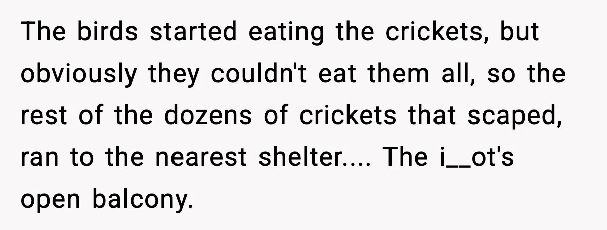 The birds started eating the crickets, but obviously they couldn't eat them all, so the rest of the dozens of crickets that scaped, ran to the nearest shelter.... The i__ot's...