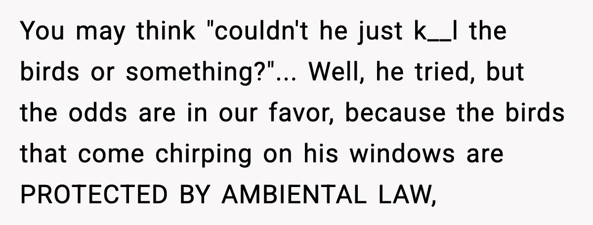You may think "couldn't he just k__l the birds or something?"... Well, he tried, but the odds are in our favor, because the birds that come chirping on his windows...