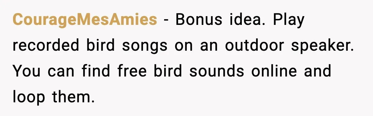 CourageMesAmies - Bonus idea. Play recorded bird songs on an outdoor speaker. You can find free bird sounds online and loop them.
