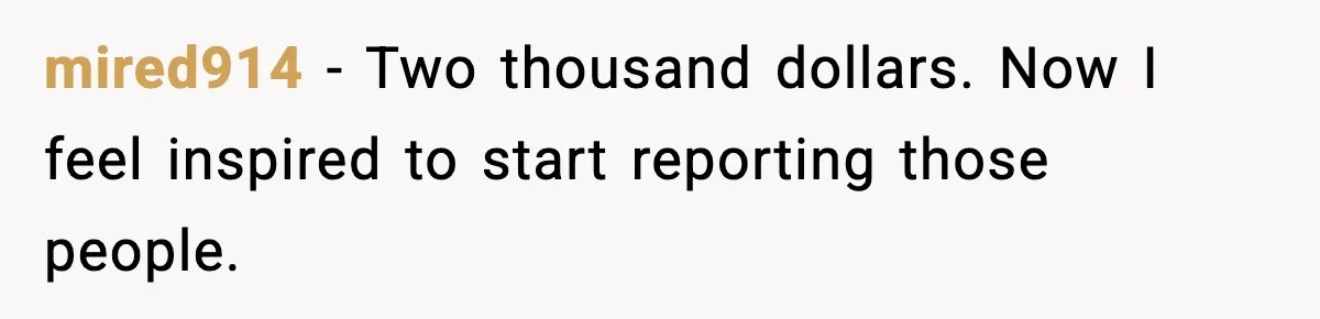 mired914 - Two thousand dollars. Now I feel inspired to start reporting those people.