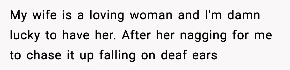 My wife is a loving woman and I'm damn lucky to have her. After her nagging for me to chase it up falling on deaf ears