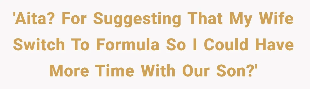 'AITA? For suggesting that my wife switch to Formula so I could have more time with our son?'
