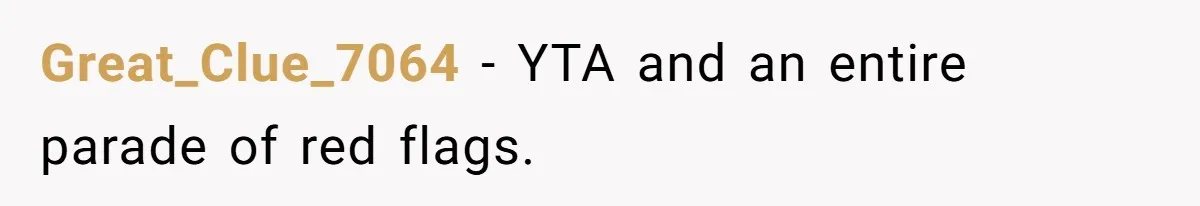 Great_Clue_7064 − YTA and an entire parade of red flags.