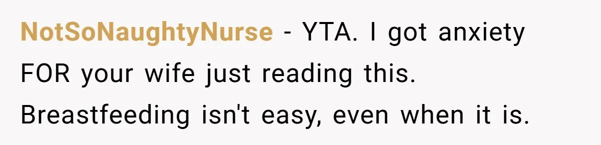NotSoNaughtyNurse − YTA. I got anxiety FOR your wife just reading this. Breastfeeding isn't easy, even when it is.