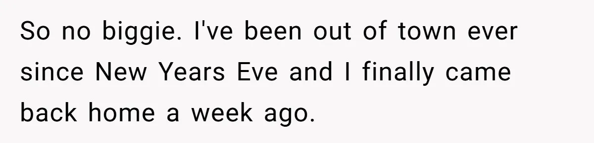 So no biggie. I've been out of town ever since New Years Eve and I finally came back home a week ago.