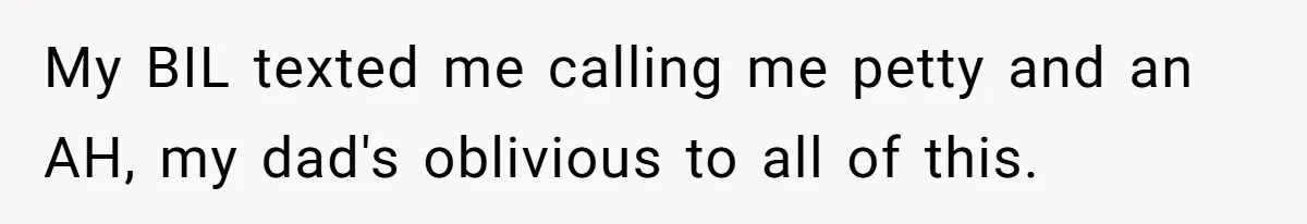 My BIL texted me calling me petty and an AH, my dad's oblivious to all of this.