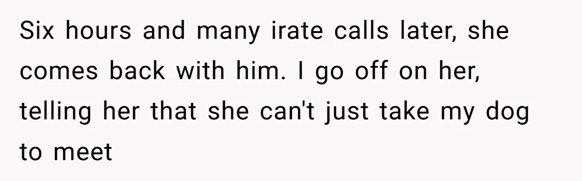 Six hours and many irate calls later, she comes back with him. I go off on her, telling her that she can't just take my dog to meet
