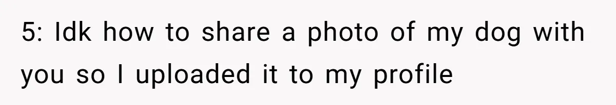 5: Idk how to share a photo of my dog with you so I uploaded it to my profile