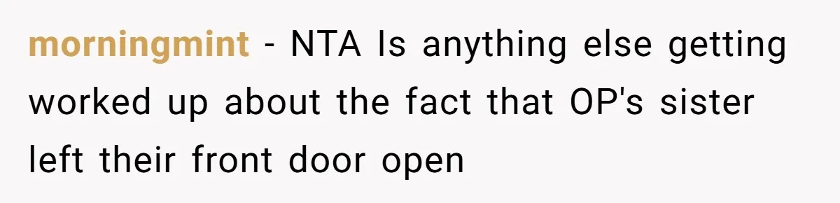 morningmint − NTA Is anything else getting worked up about the fact that OP's sister left their front door open