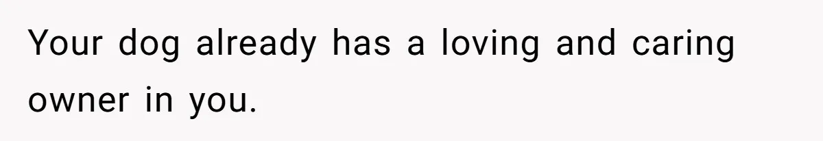 Your dog already has a loving and caring owner in you.