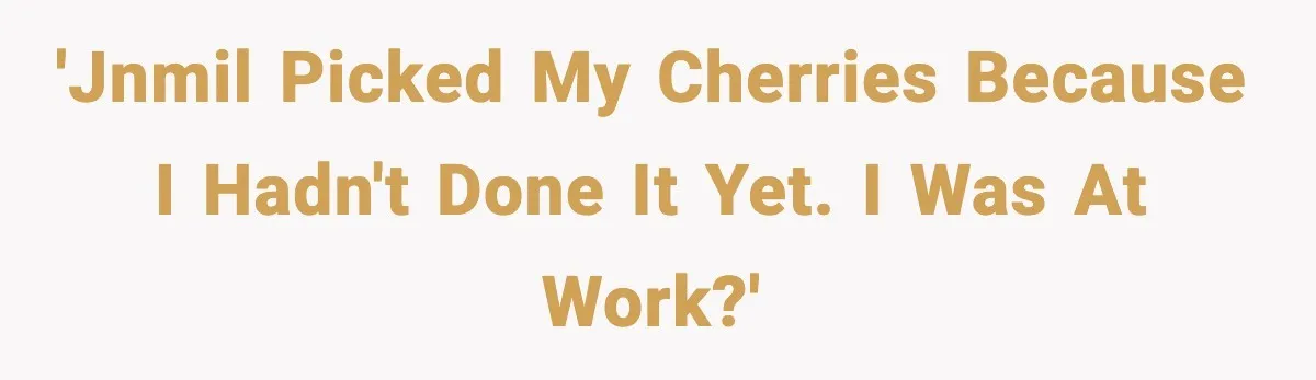 Gardener Devastated After MIL Harvests Entire Cherry Crop While She Was At Work 'JNMIL picked my cherries because I hadn't done it yet. I was at work?'