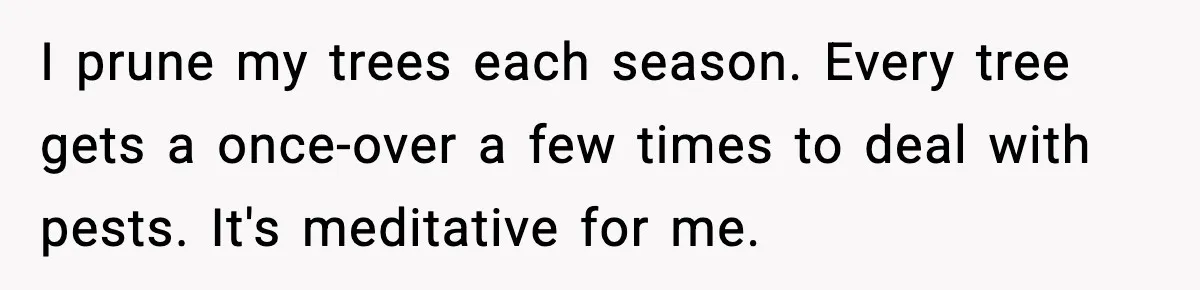 Gardener Devastated After MIL Harvests Entire Cherry Crop While She Was At Work I prune my trees each season. Every tree gets a once-over a few times to deal with pests. It's meditative for me.