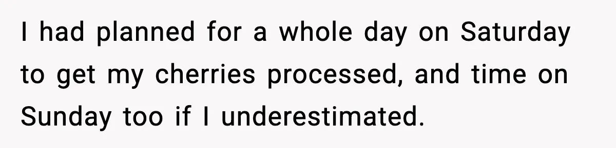 Gardener Devastated After MIL Harvests Entire Cherry Crop While She Was At Work I had planned for a whole day on Saturday to get my cherries processed, and time on Sunday too if I underestimated.