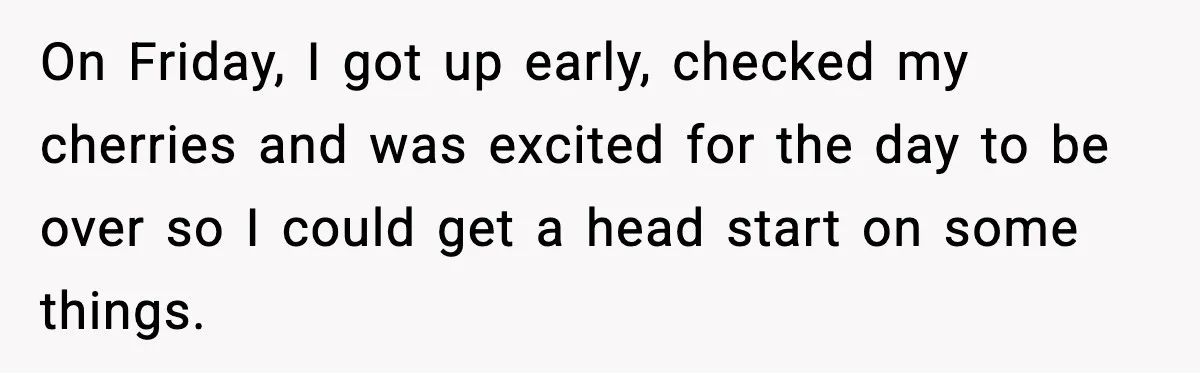 Gardener Devastated After MIL Harvests Entire Cherry Crop While She Was At Work On Friday, I got up early, checked my cherries and was excited for the day to be over so I could get a head start on some things.