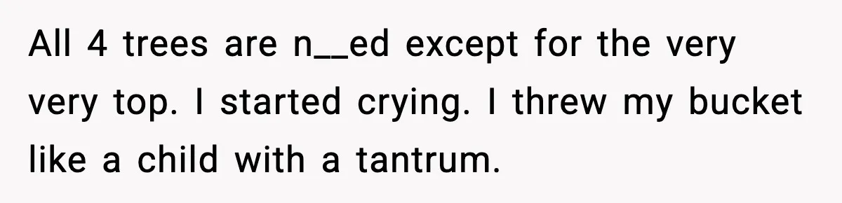 Gardener Devastated After MIL Harvests Entire Cherry Crop While She Was At Work All 4 trees are n__ed except for the very very top. I started crying. I threw my bucket like a child with a tantrum.