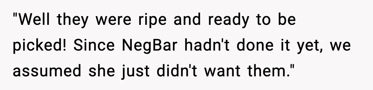 Gardener Devastated After MIL Harvests Entire Cherry Crop While She Was At Work "Well they were ripe and ready to be picked! Since NegBar hadn't done it yet, we assumed she just didn't want them."