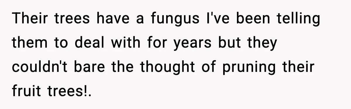 Gardener Devastated After MIL Harvests Entire Cherry Crop While She Was At Work Their trees have a fungus I've been telling them to deal with for years but they couldn't bare the thought of pruning their fruit trees!.