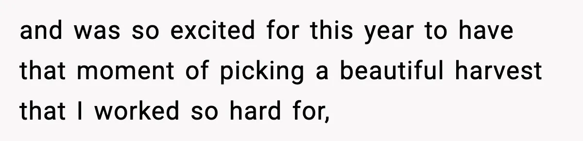 Gardener Devastated After MIL Harvests Entire Cherry Crop While She Was At Work and was so excited for this year to have that moment of picking a beautiful harvest that I worked so hard for,