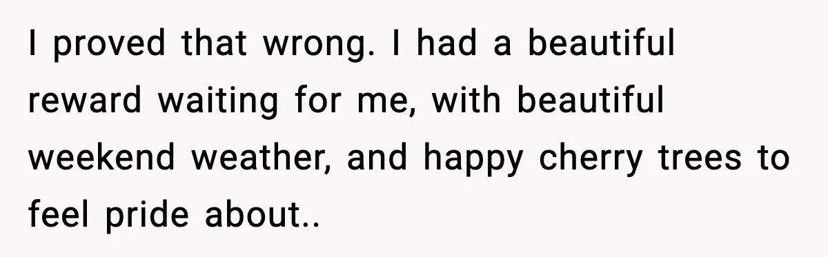 Gardener Devastated After MIL Harvests Entire Cherry Crop While She Was At Work I proved that wrong. I had a beautiful reward waiting for me, with beautiful weekend weather, and happy cherry trees to feel pride about..