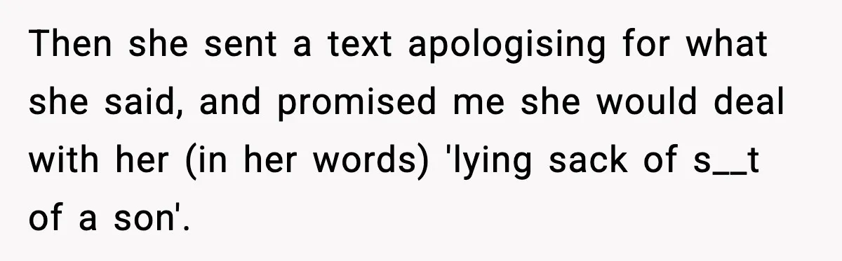 Then she sent a text apologising for what she said, and promised me she would deal with her (in her words) 'lying sack of s__t of a son'.