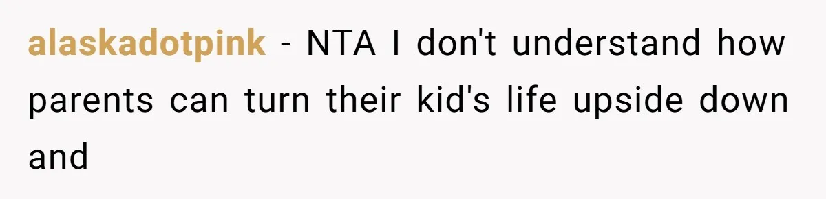 alaskadotpink − NTA I don't understand how parents can turn their kid's life upside down and