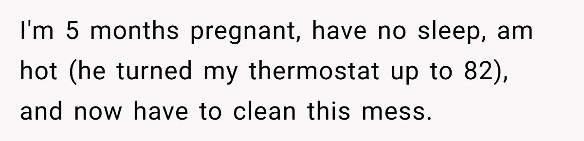 I'm 5 months pregnant, have no sleep, am hot (he turned my thermostat up to 82), and now have to clean this mess.