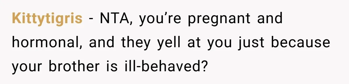 Kittytigris − NTA, you’re pregnant and hormonal, and they yell at you just because your brother is ill-behaved?