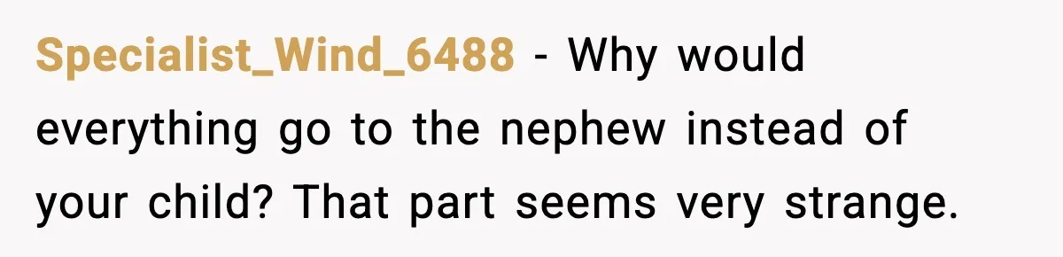 Specialist_Wind_6488 - Why would everything go to the nephew instead of your child? That part seems very strange.