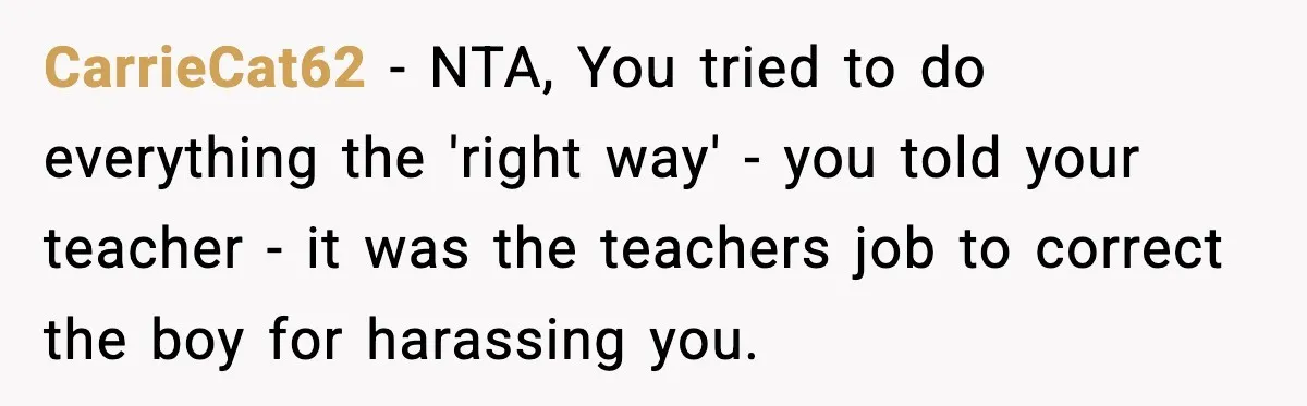 CarrieCat62 − NTA, You tried to do everything the 'right way' - you told your teacher - it was the teachers job to correct the boy for harassing you.