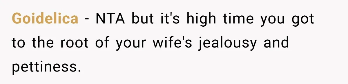 Goidelica − NTA but it's high time you got to the root of your wife's jealousy and pettiness.