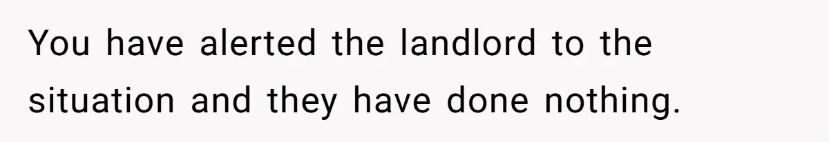 You have alerted the landlord to the situation and they have done nothing.