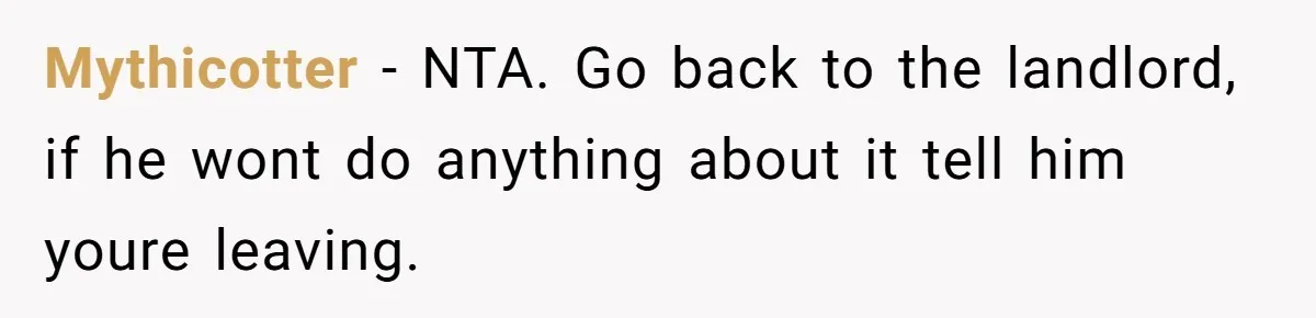 Mythicotter − NTA. Go back to the landlord, if he wont do anything about it tell him youre leaving.