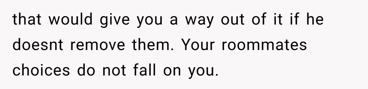 that would give you a way out of it if he doesnt remove them. Your roommates choices do not fall on you.