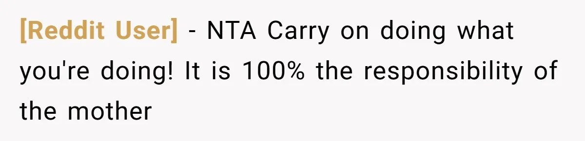 [Reddit User] − NTA Carry on doing what you're doing! It is 100% the responsibility of the mother