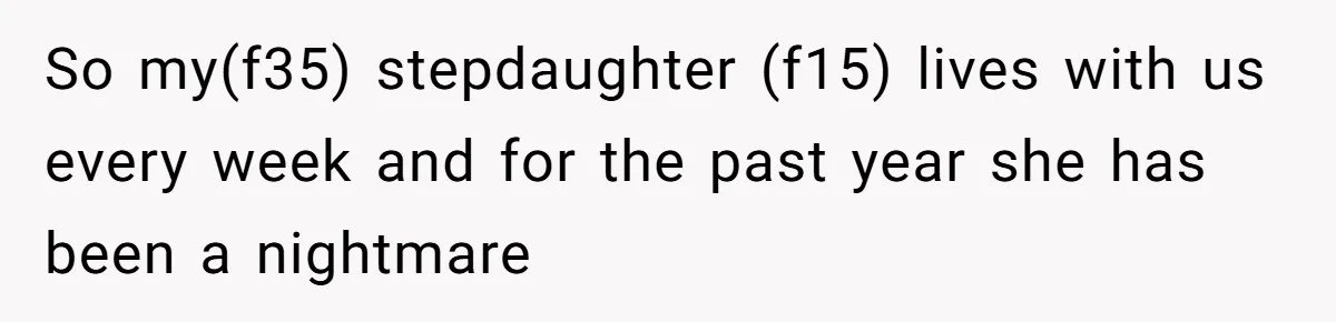 So my(f35) stepdaughter (f15) lives with us every week and for the past year she has been a nightmare