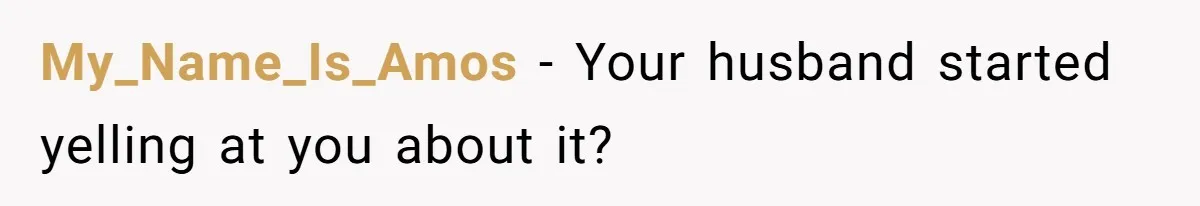 My_Name_Is_Amos − Your husband started yelling at you about it?